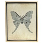 Luna Moth Thread Art