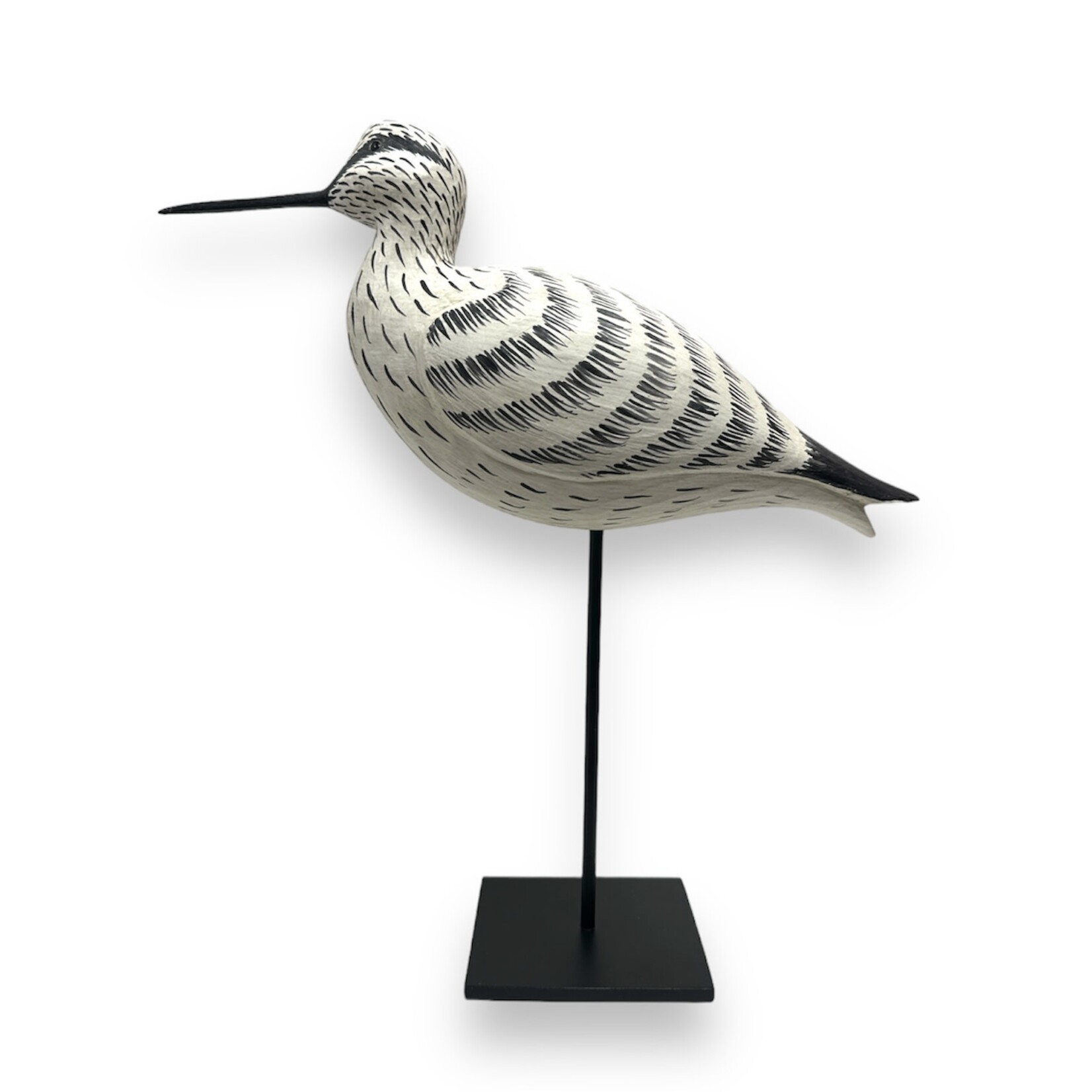 Willet Shorebird on Metal Display