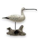 Curlew Shorebird on Driftwood