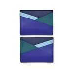 Asymmetric Card Case