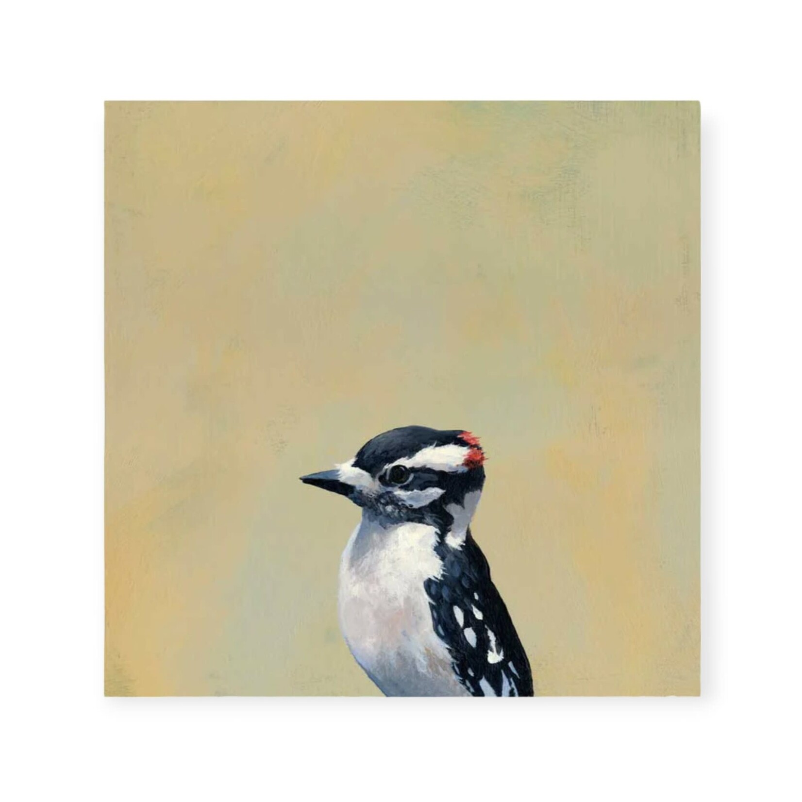 THE MINCING MOCKINGBIRD Downy Woodpecker Wall Art