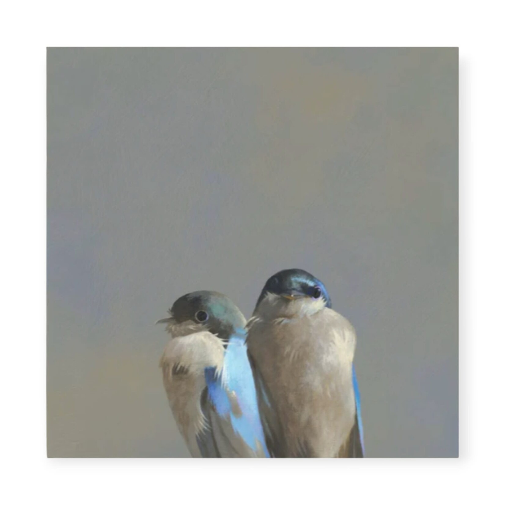 The Mincing Mockingbird Swallow Pair Wall Art