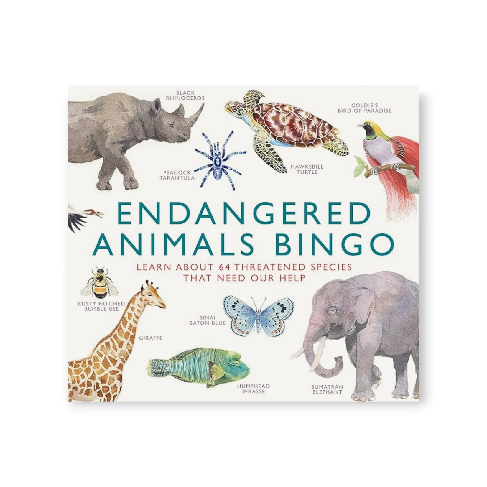 Chronicle Books Endangered Animals Bingo