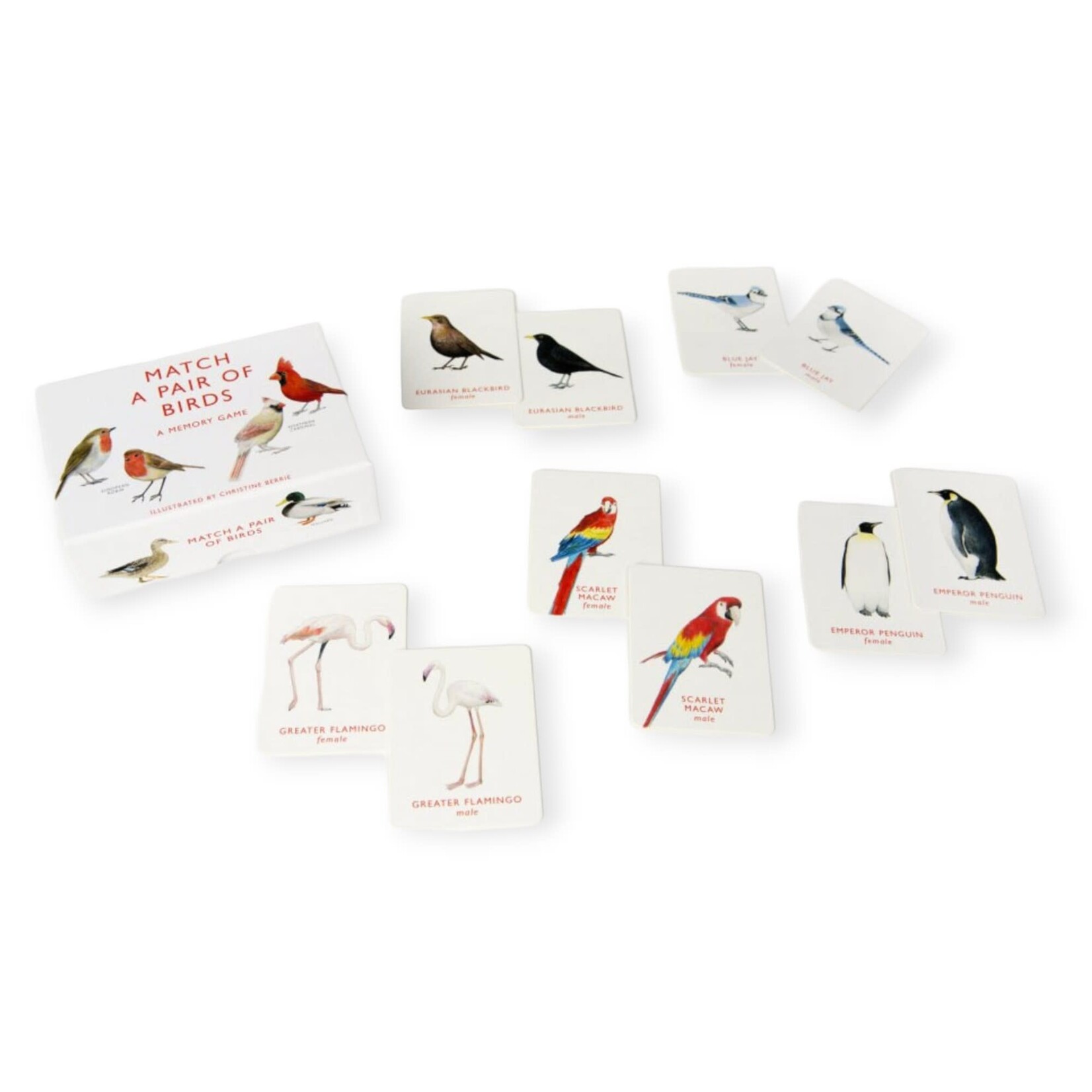 Chronicle Books Match a Pair of Birds: A Memory Game