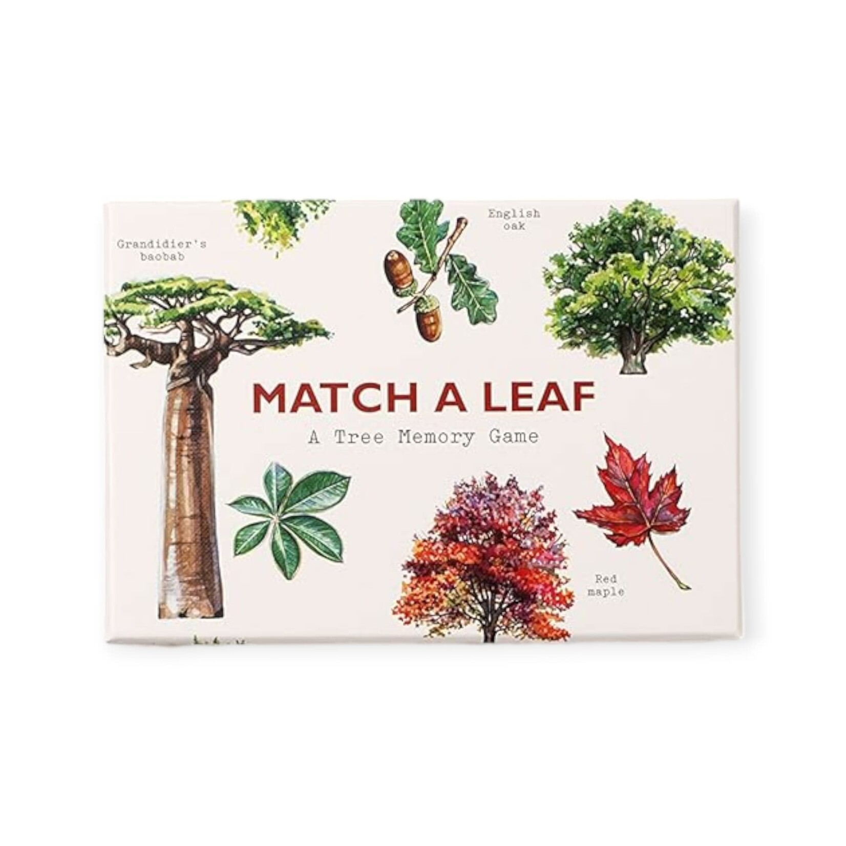 Chronicle Books Match A Leaf: A Tree Memory Game