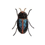 Electric Blue Beetle  Brooch Pin