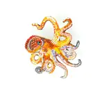 Giant Pacific Octopus Brooch Pin