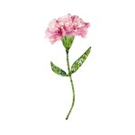 Pink Carnation Brooch Pin
