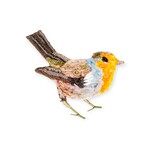 Robin Red Breast Brooch