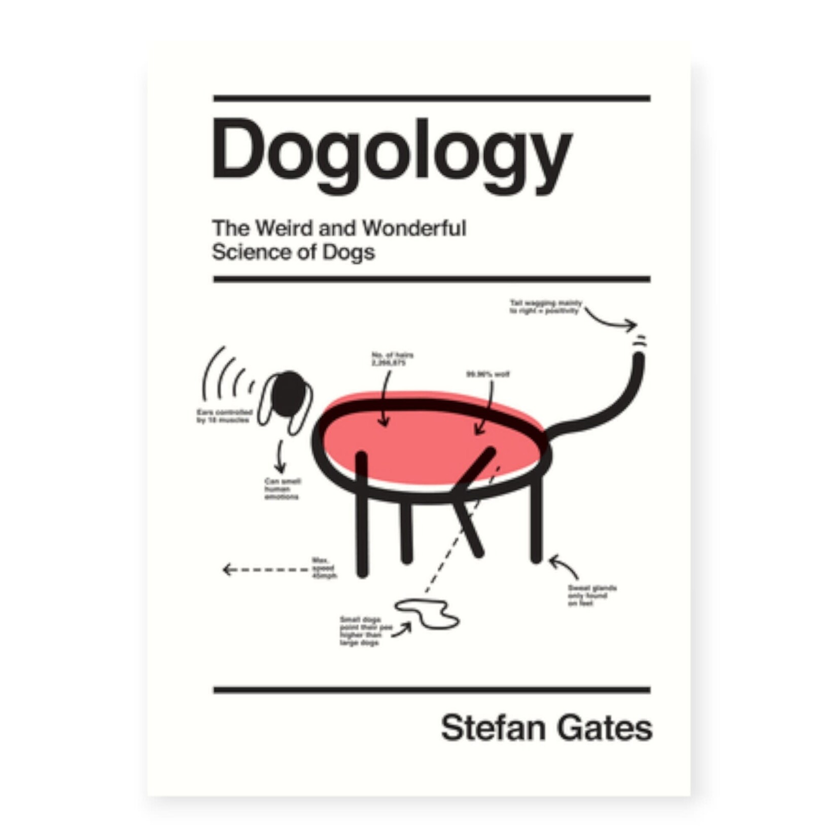 Hachette Book Group Dogology
