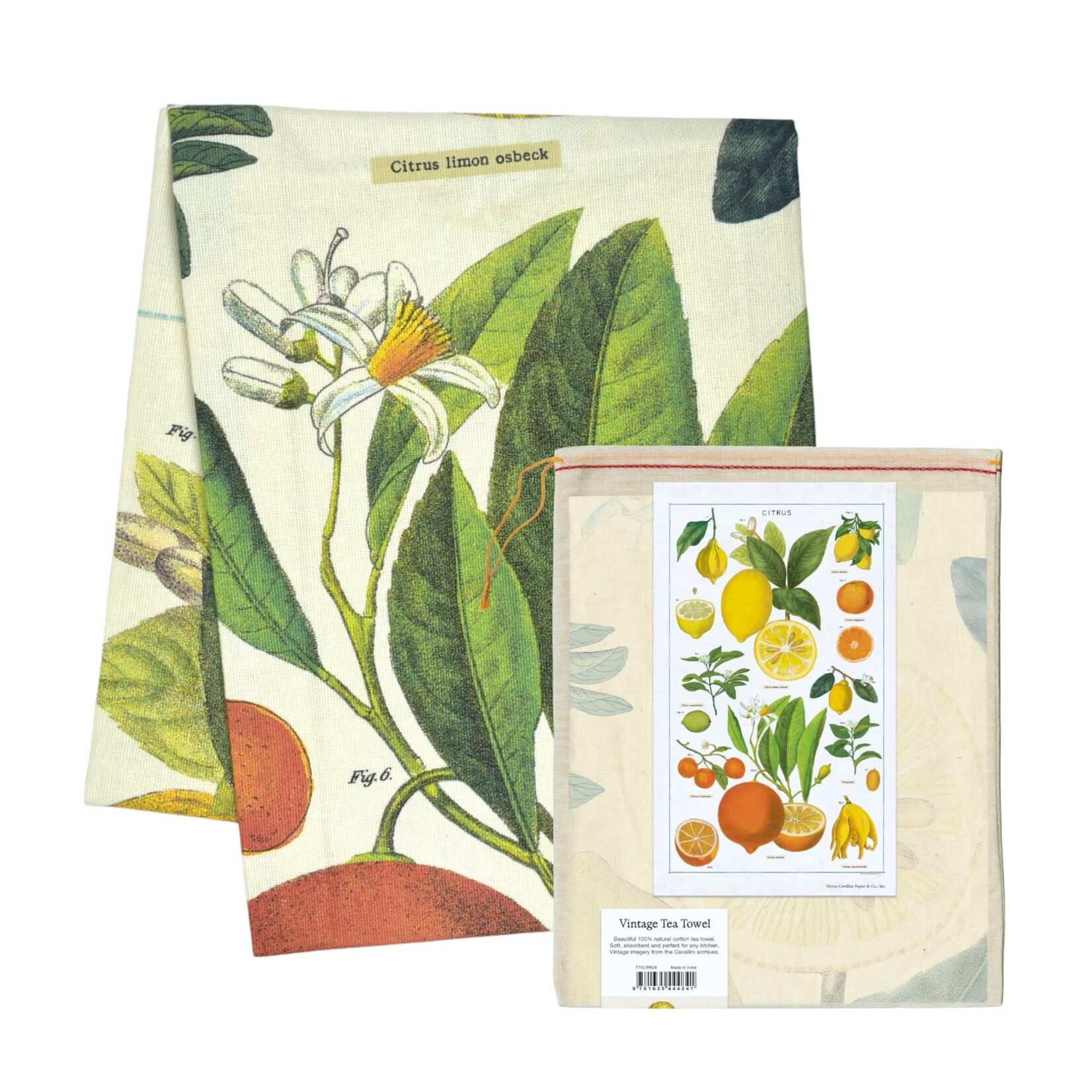 Cavallini Papers & Co. Inc Vintage Tea Towel