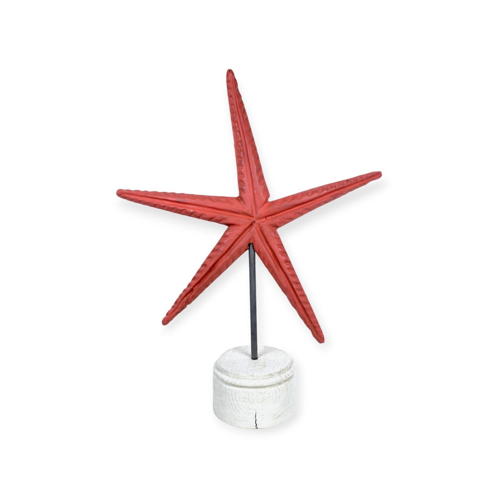 Starfish On Stand