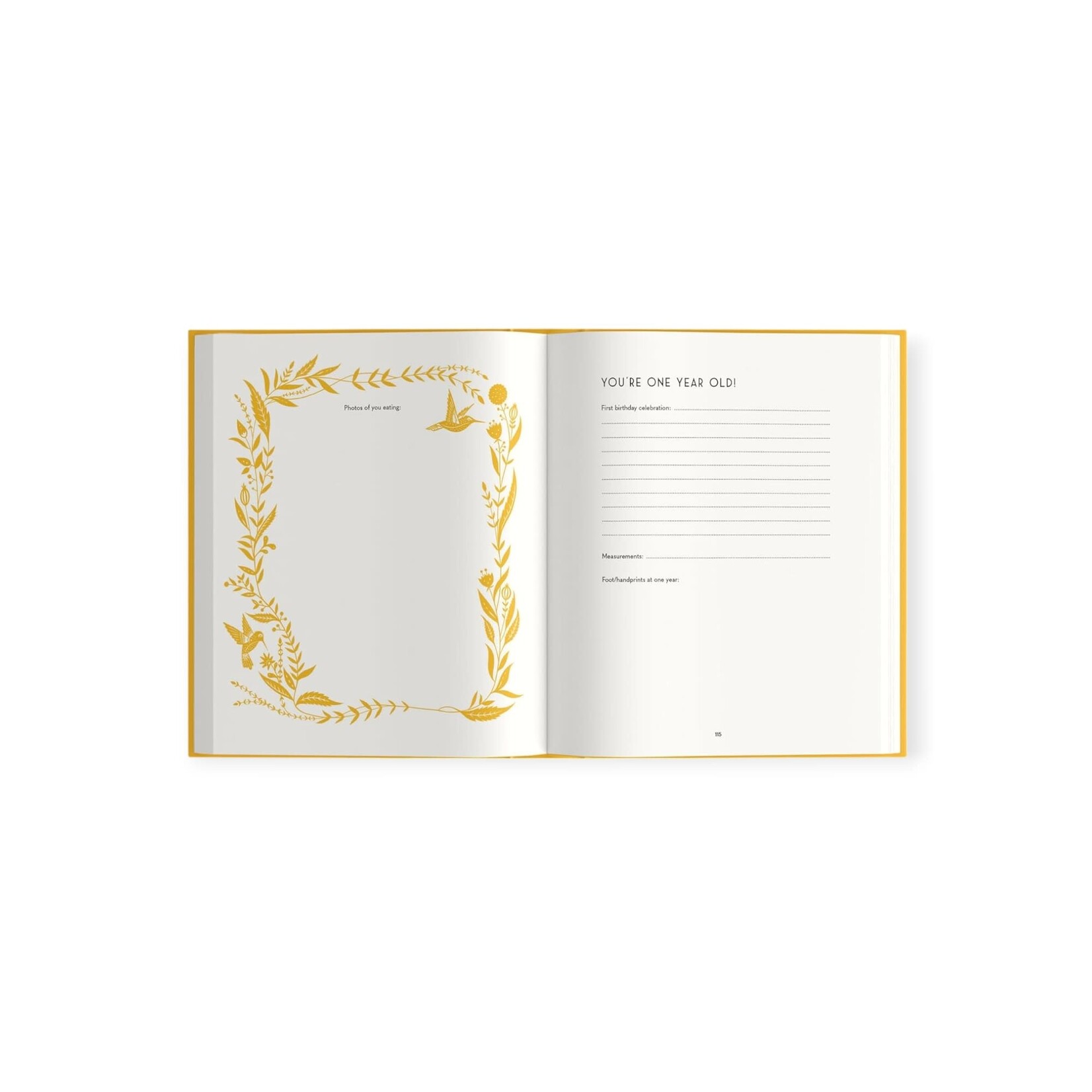 Paige Tate & Co. My Baby's Book