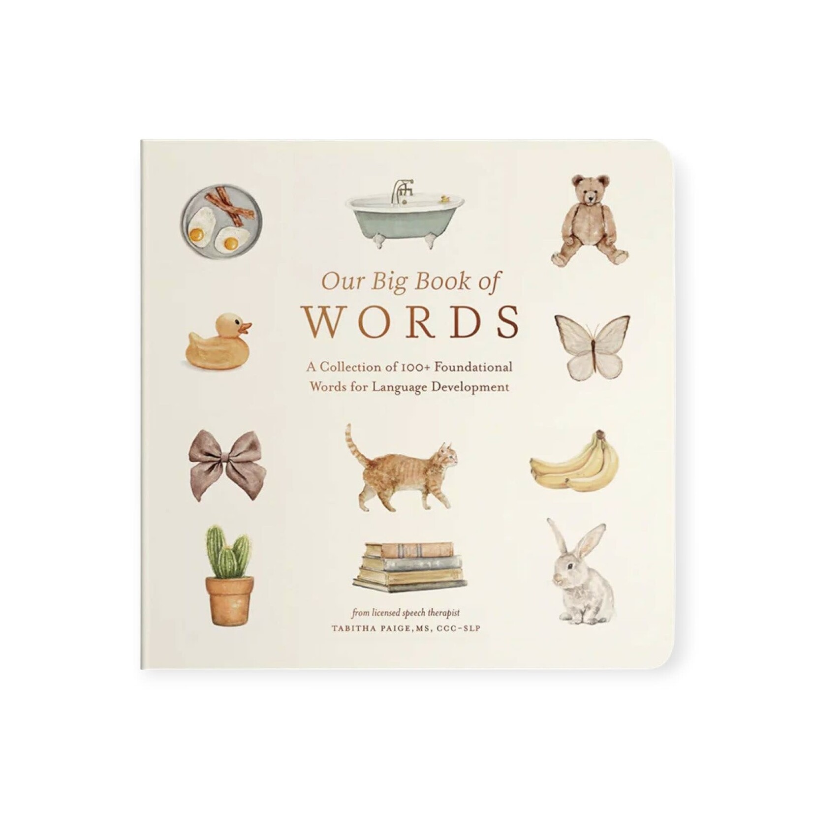 Paige Tate & Co. Our Big Book of First Words
