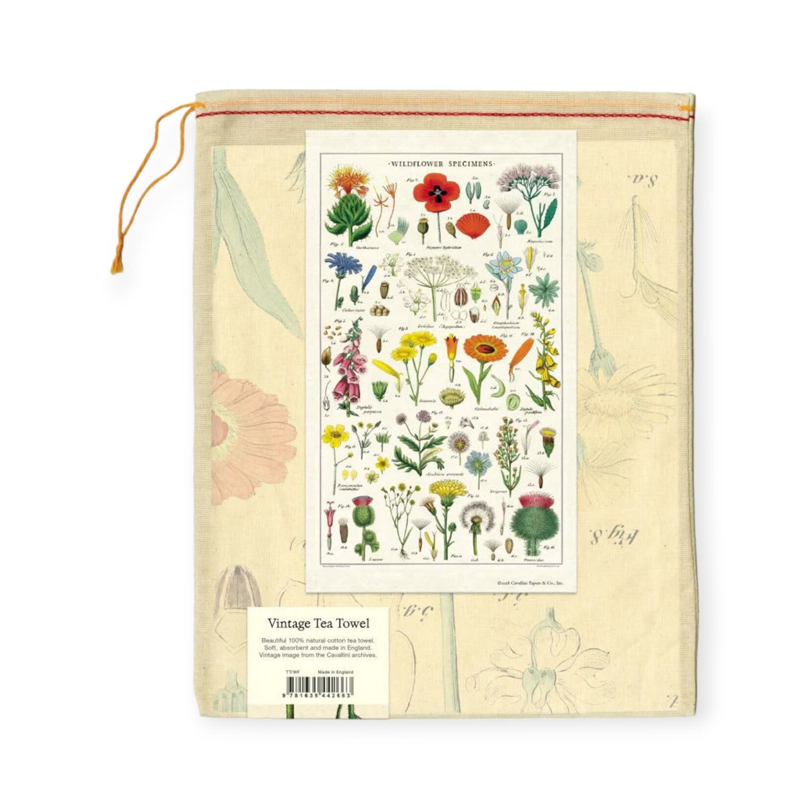 Cavallini Papers & Co. Inc Vintage Tea Towel