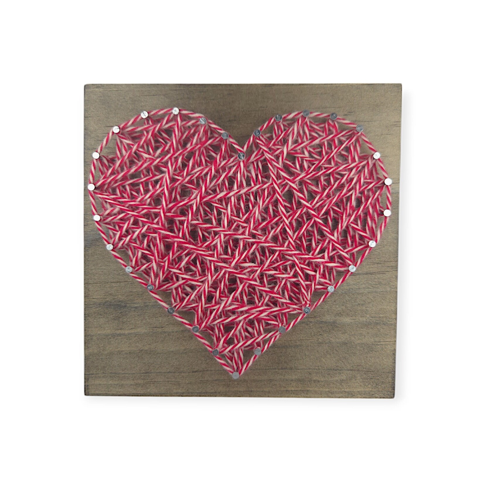 Knotted Bug Heart String Art
