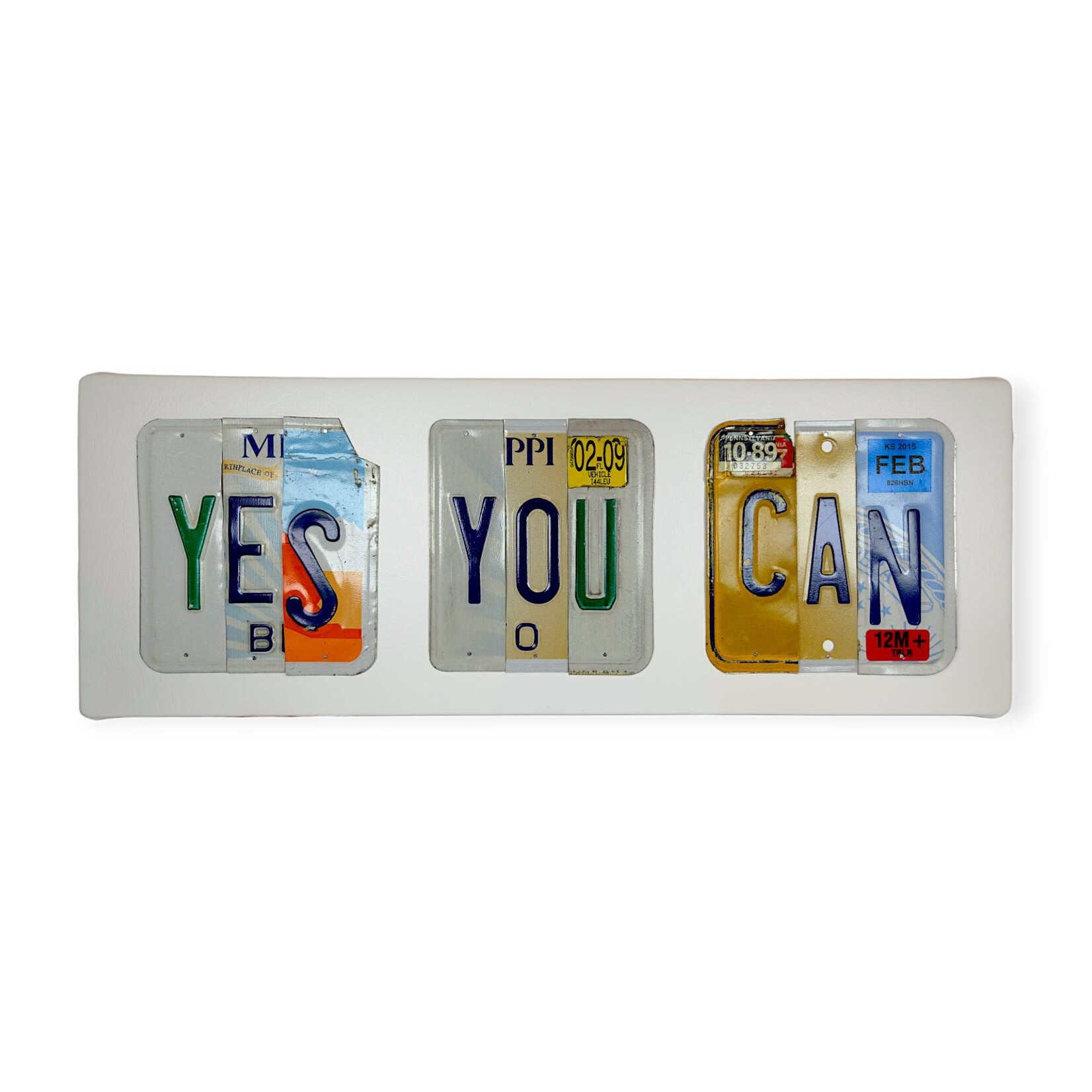 Matt Black Yes You Can License Plates