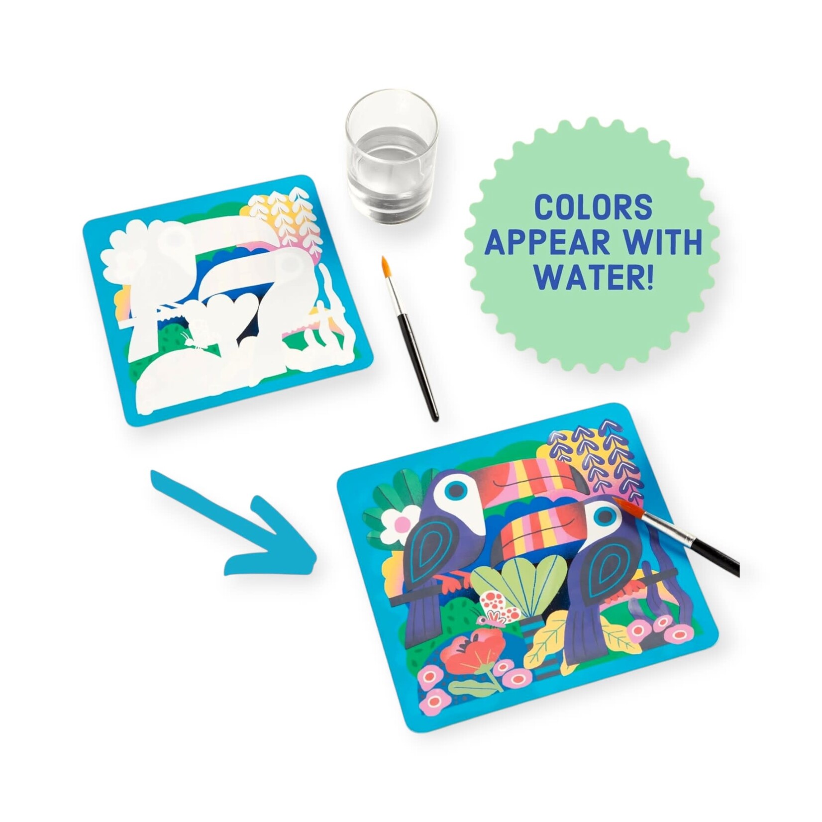 Chronicle Books Color Magic Water-Reveal Kit