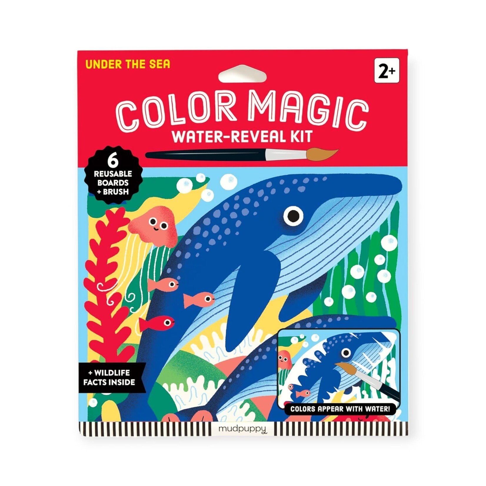 Chronicle Books Color Magic Water-Reveal Kit