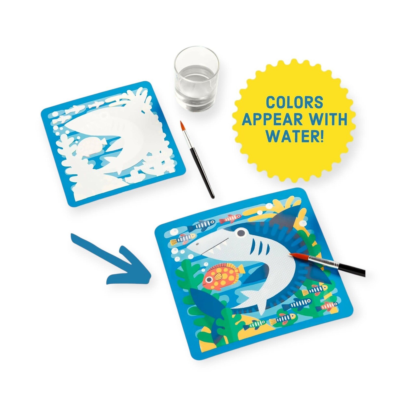 Chronicle Books Color Magic Water-Reveal Kit