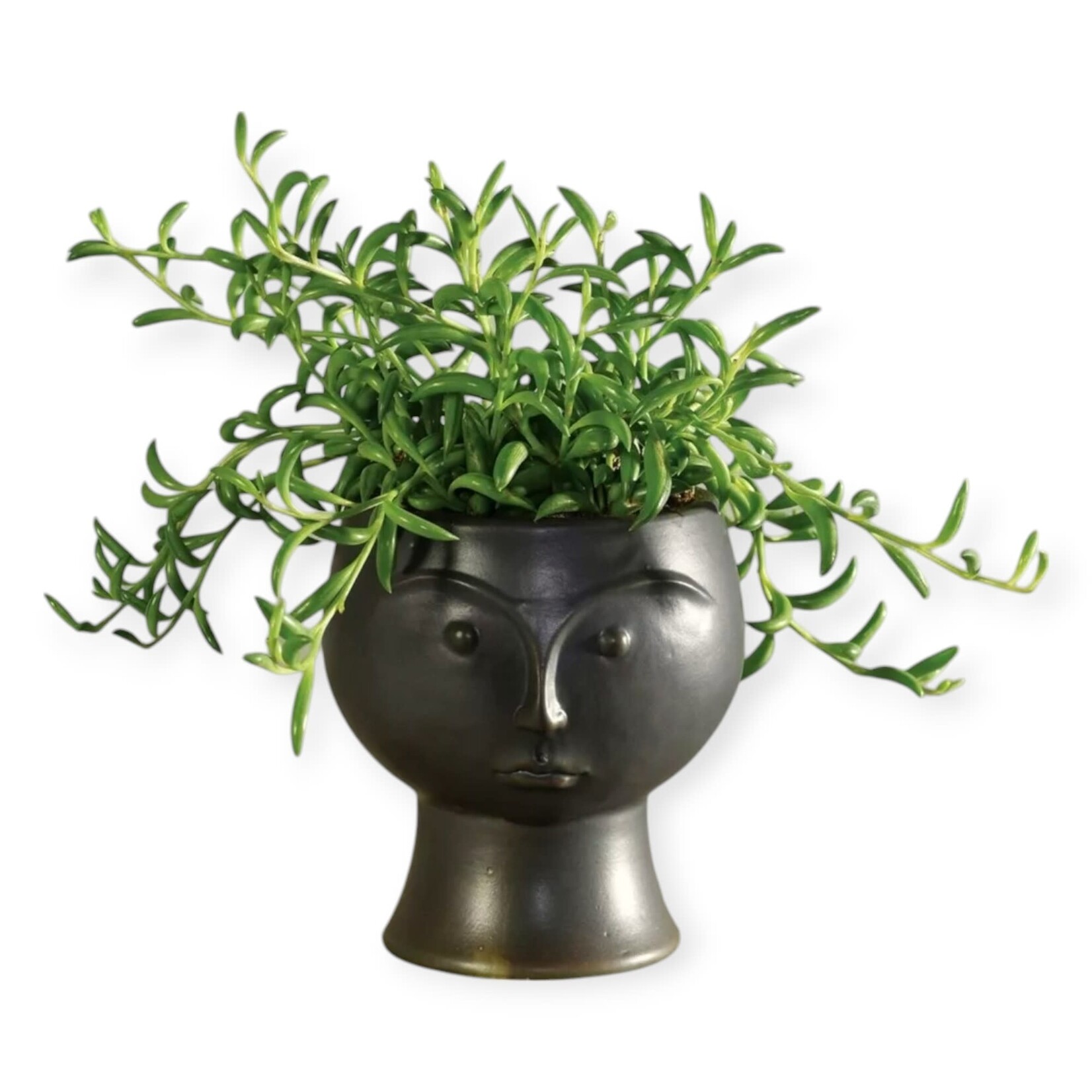 HomArt Rory Face Vase