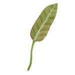 Global Goods Partners Felt Calathea Leaf