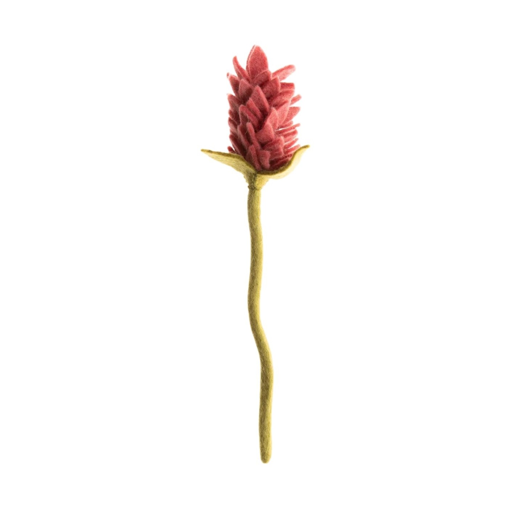 Global Goods Partners Felt Alpinia