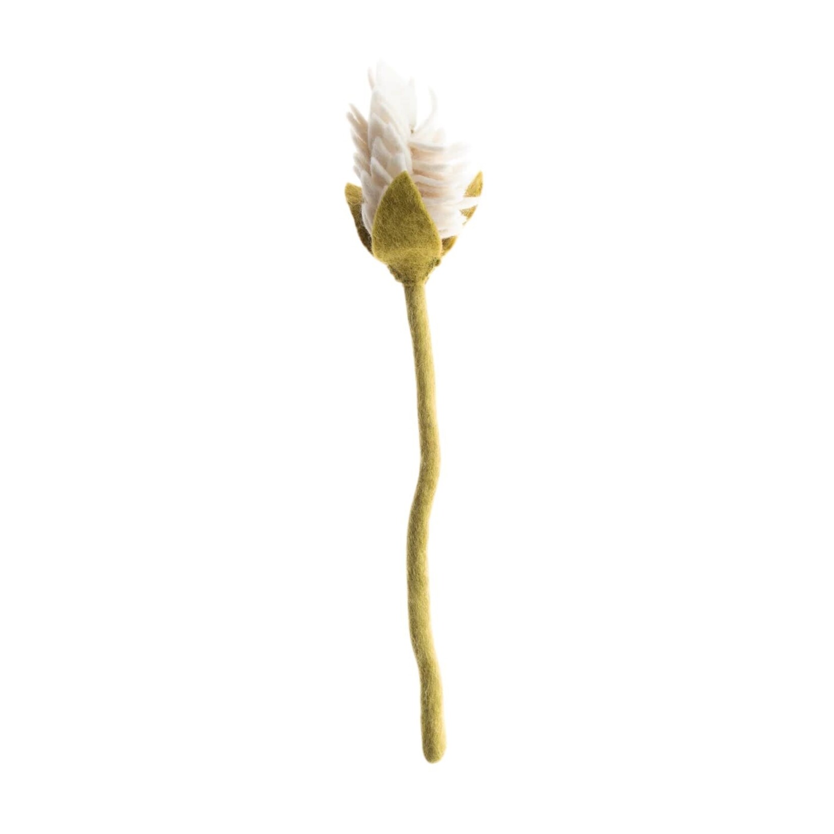 Global Goods Partners Felt Alpinia