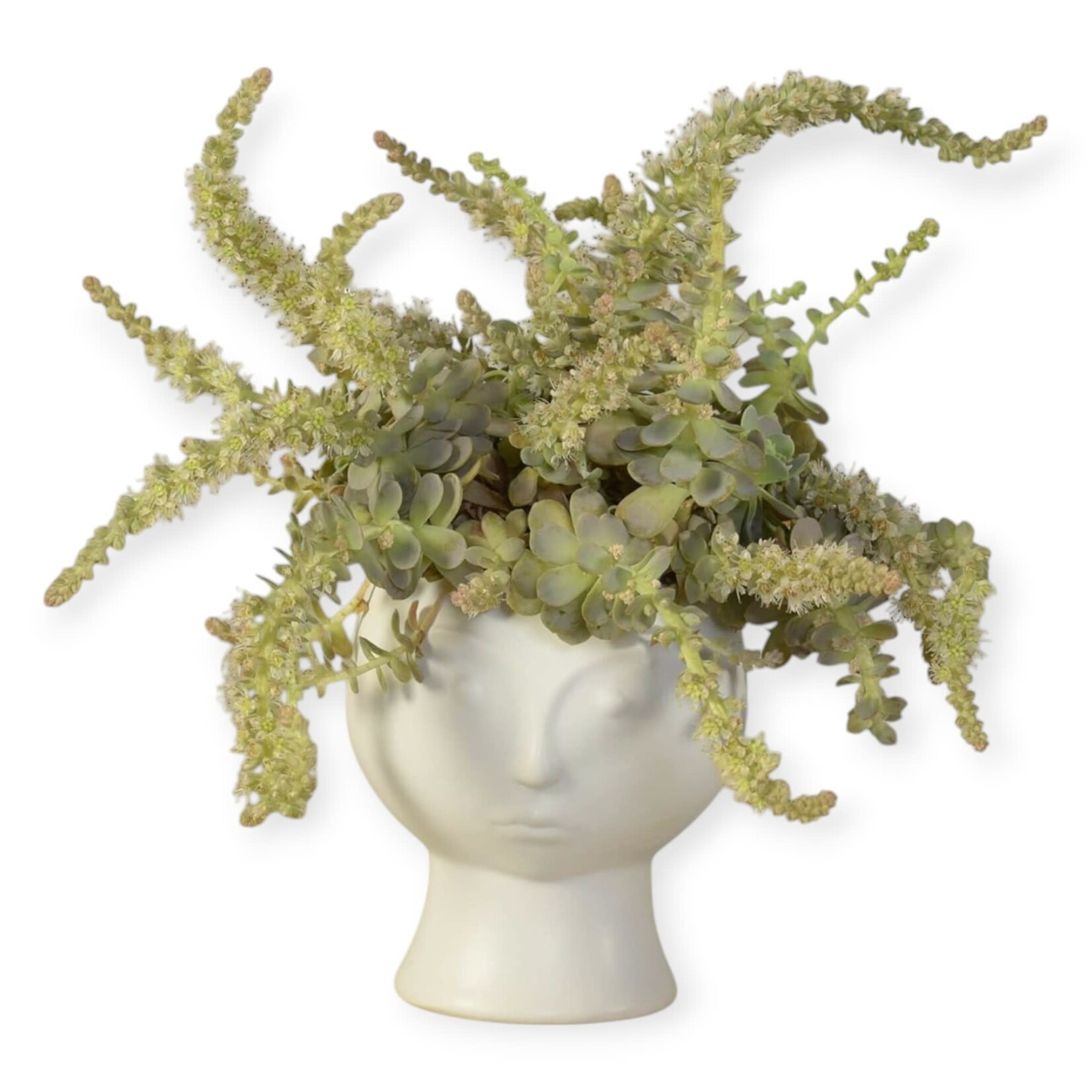HomArt Rory Face Vase