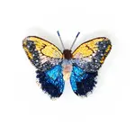 Giant Owl Butterfly Brooch