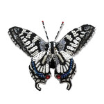 Old World Swallowtail Butterfly Brooch