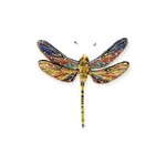 Brown Hawker Dragonfly Brooch
