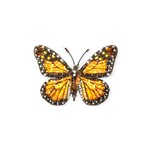 Wanderer Monarch Brooch