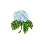Blooming Hydrangea