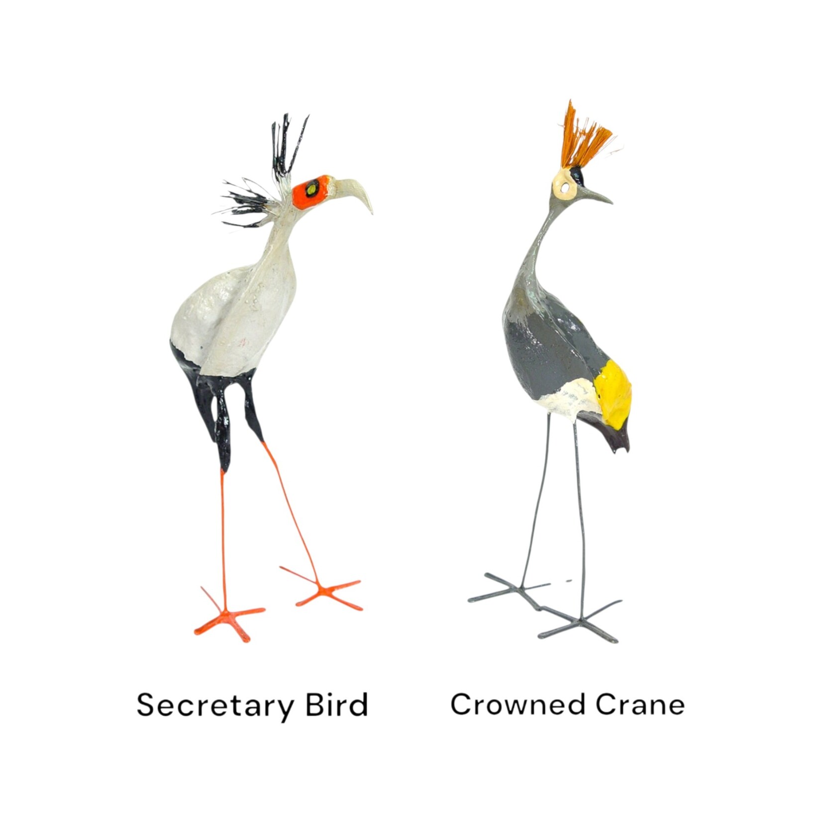 Mbare LTD Seedpod & Thorn Birds