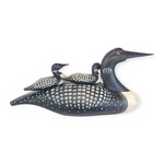 Loon with Babies