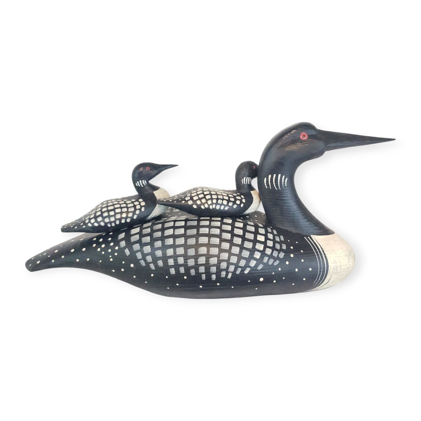Loon with Babies