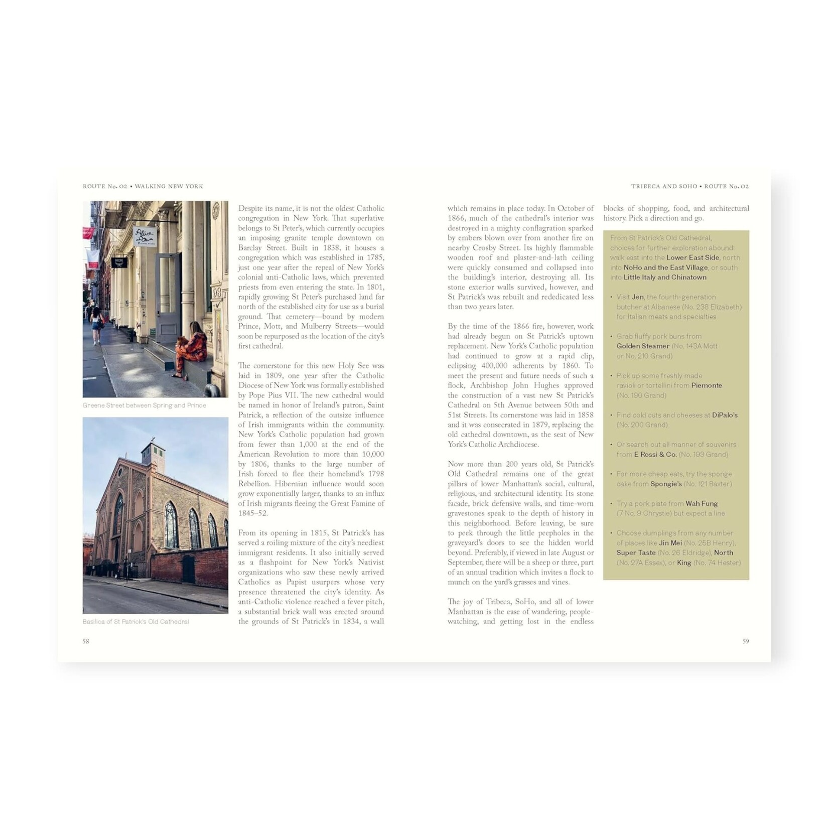 Chronicle Books Walking New York