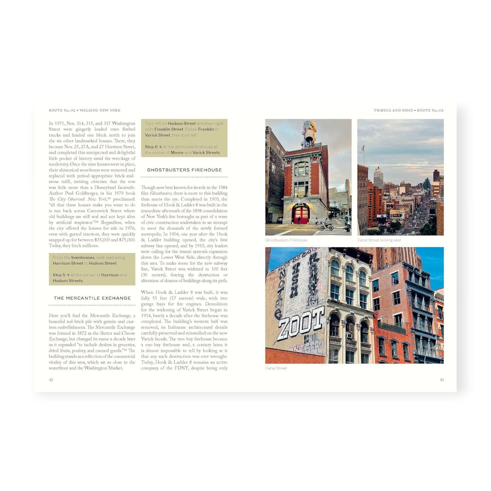 Chronicle Books Walking New York