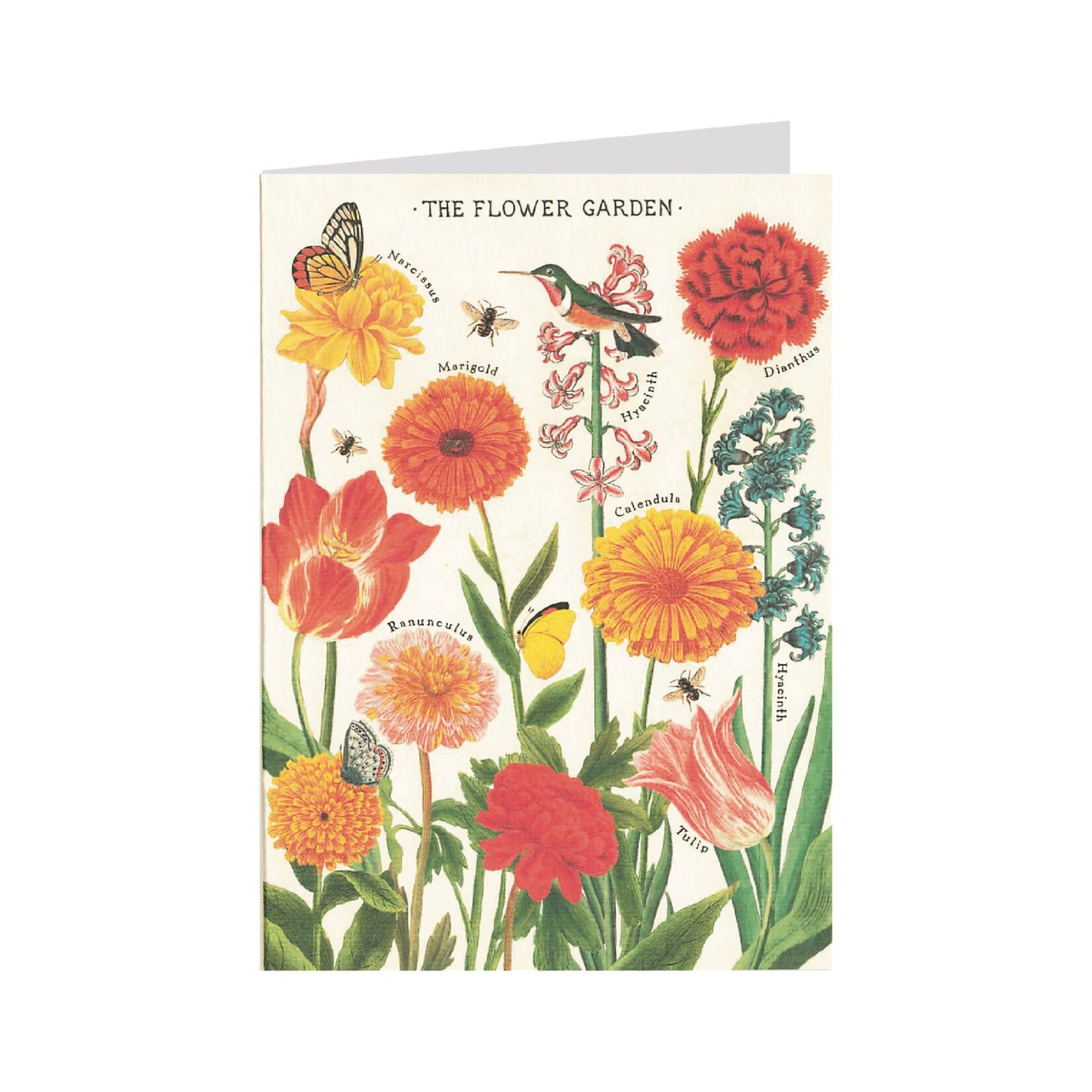 Cavallini Papers & Co. Inc Cavallini Cards