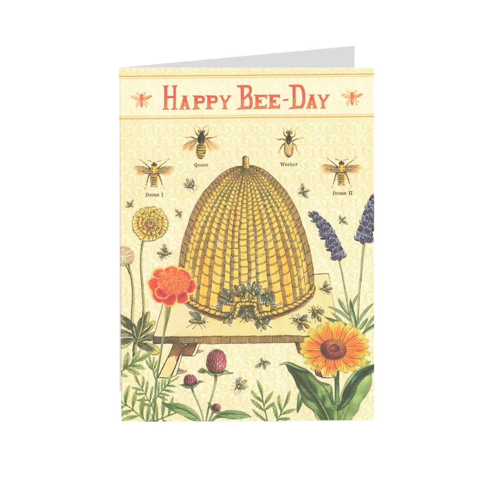 Cavallini Papers & Co. Inc Cavallini Cards
