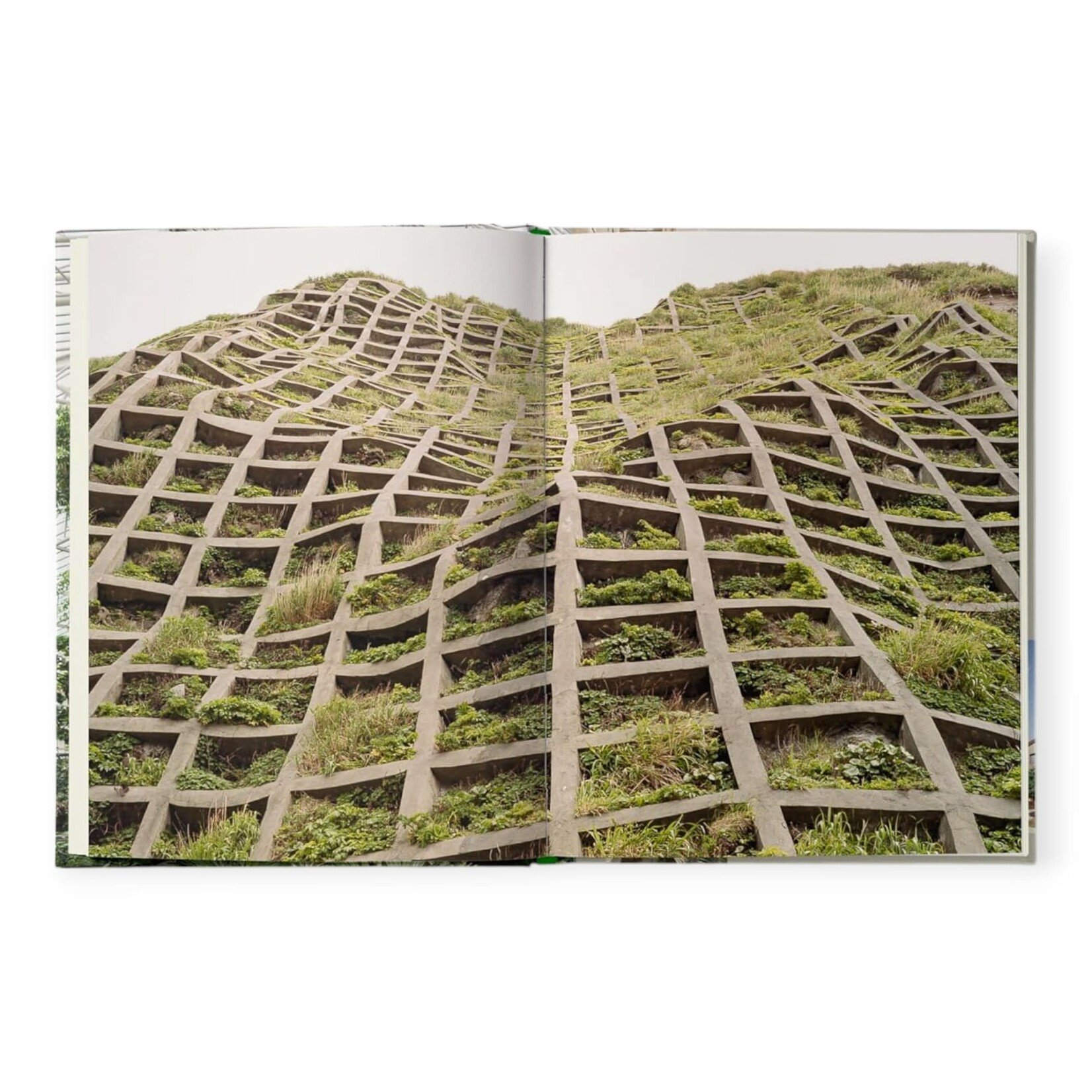 Simon & Schuster, Inc. Brutalist Plants