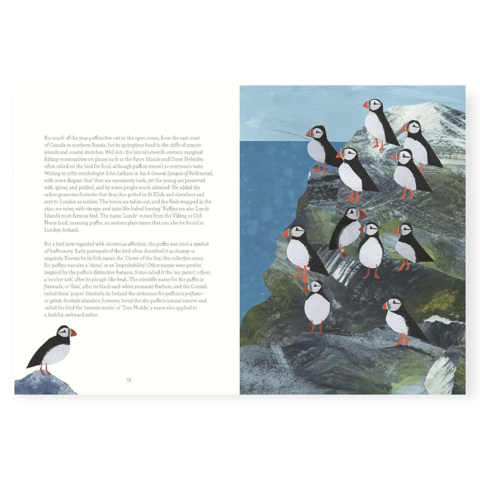 Chronicle Books Bird Lore