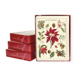 Cavallini Papers & Co. Inc Boxed Notes Botanica