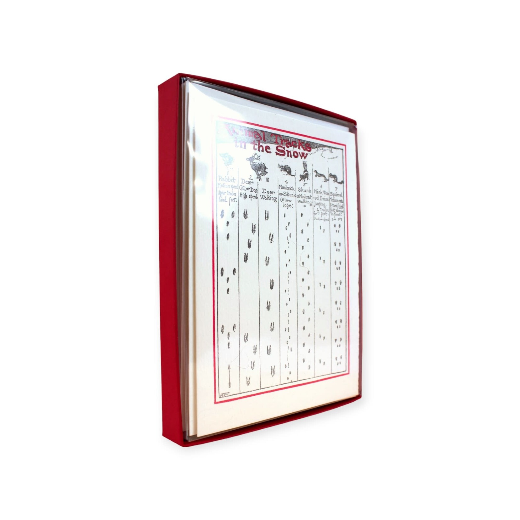 Saturn Press Animals Tracks in the Snow Box of Holiday Cards