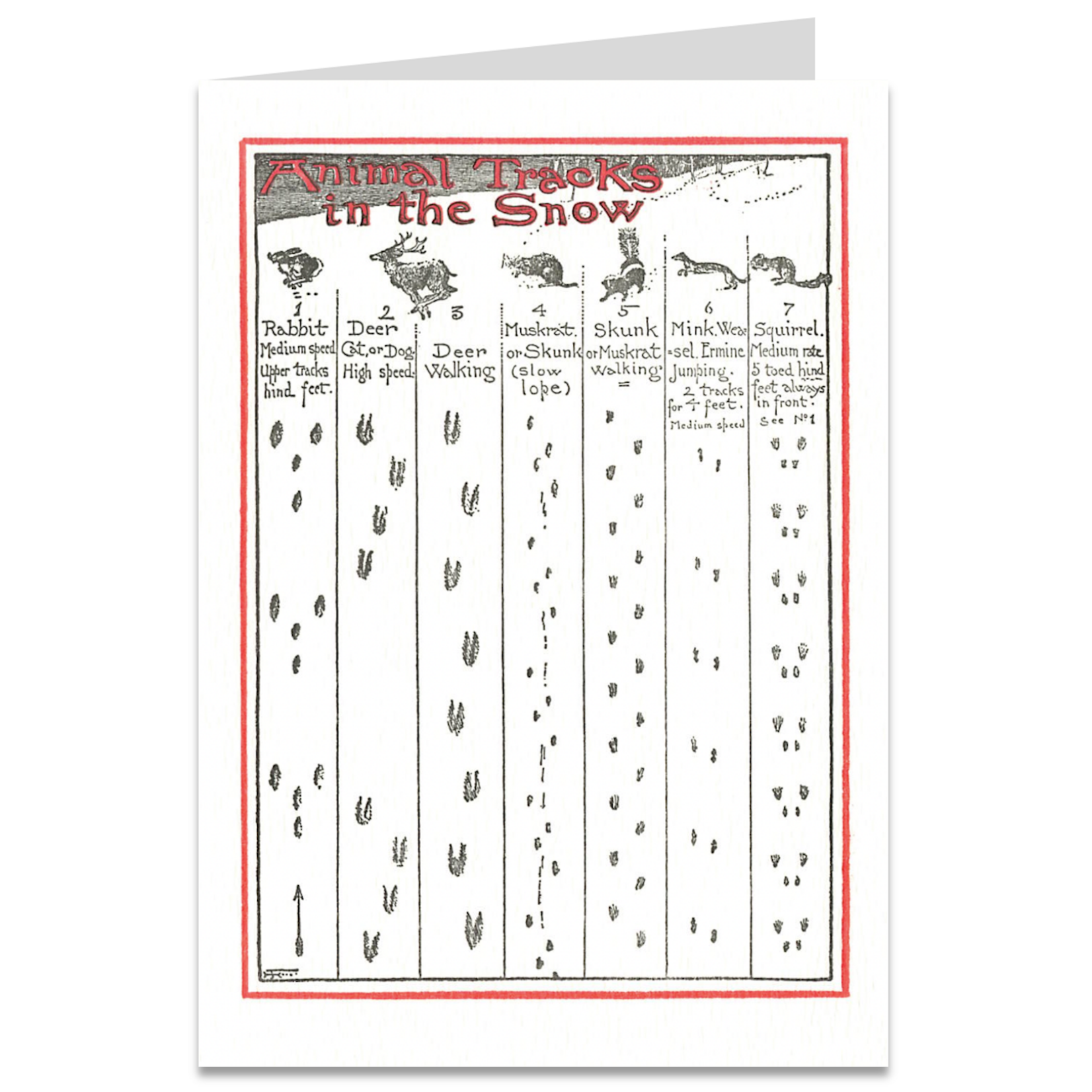Saturn Press Animals Tracks in the Snow Box of Holiday Cards