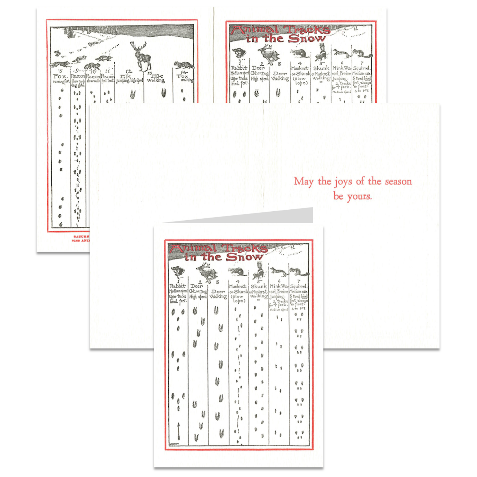 Saturn Press Animals Tracks in the Snow Box of Holiday Cards