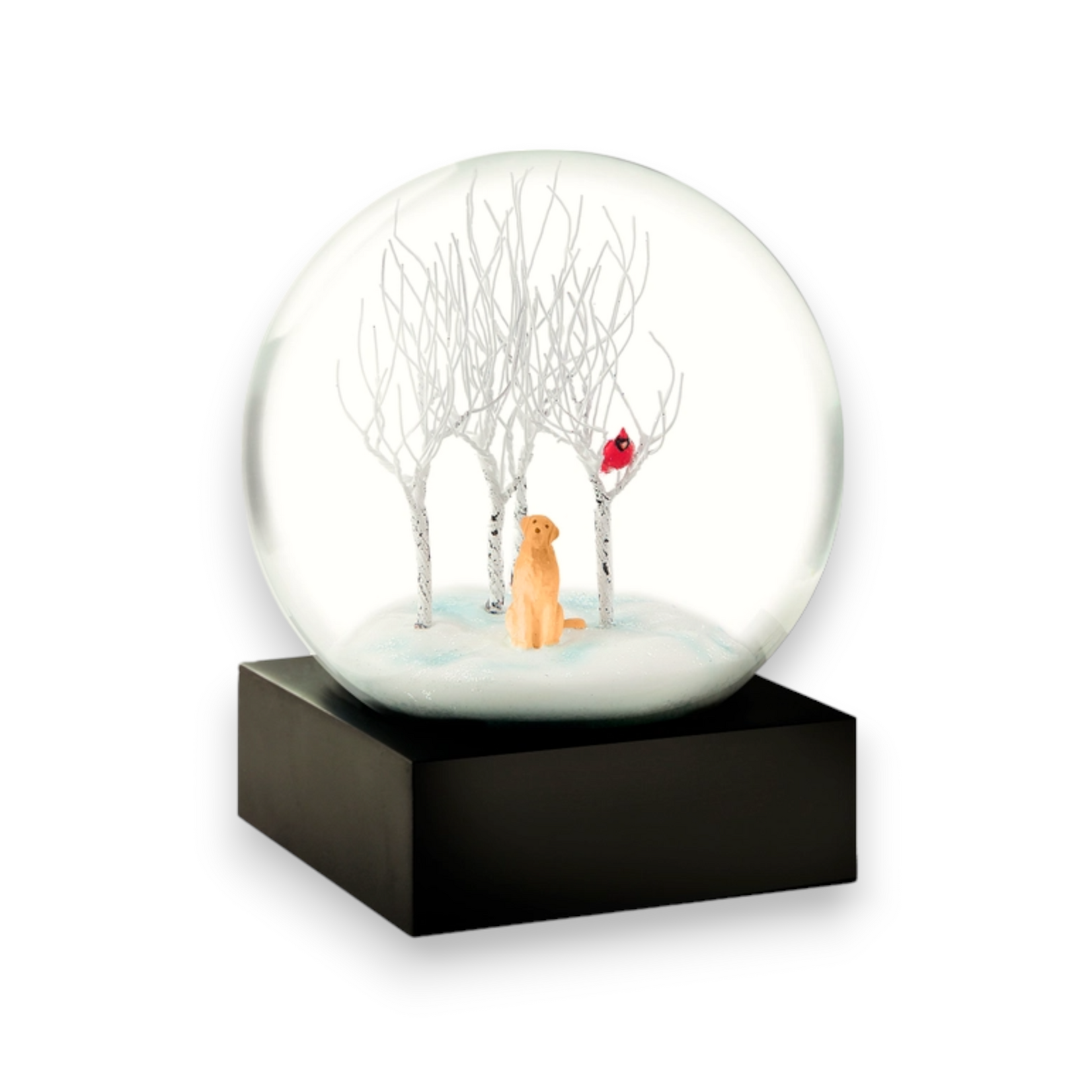 Cool Snow Globes Snow Globe Lab in Woods