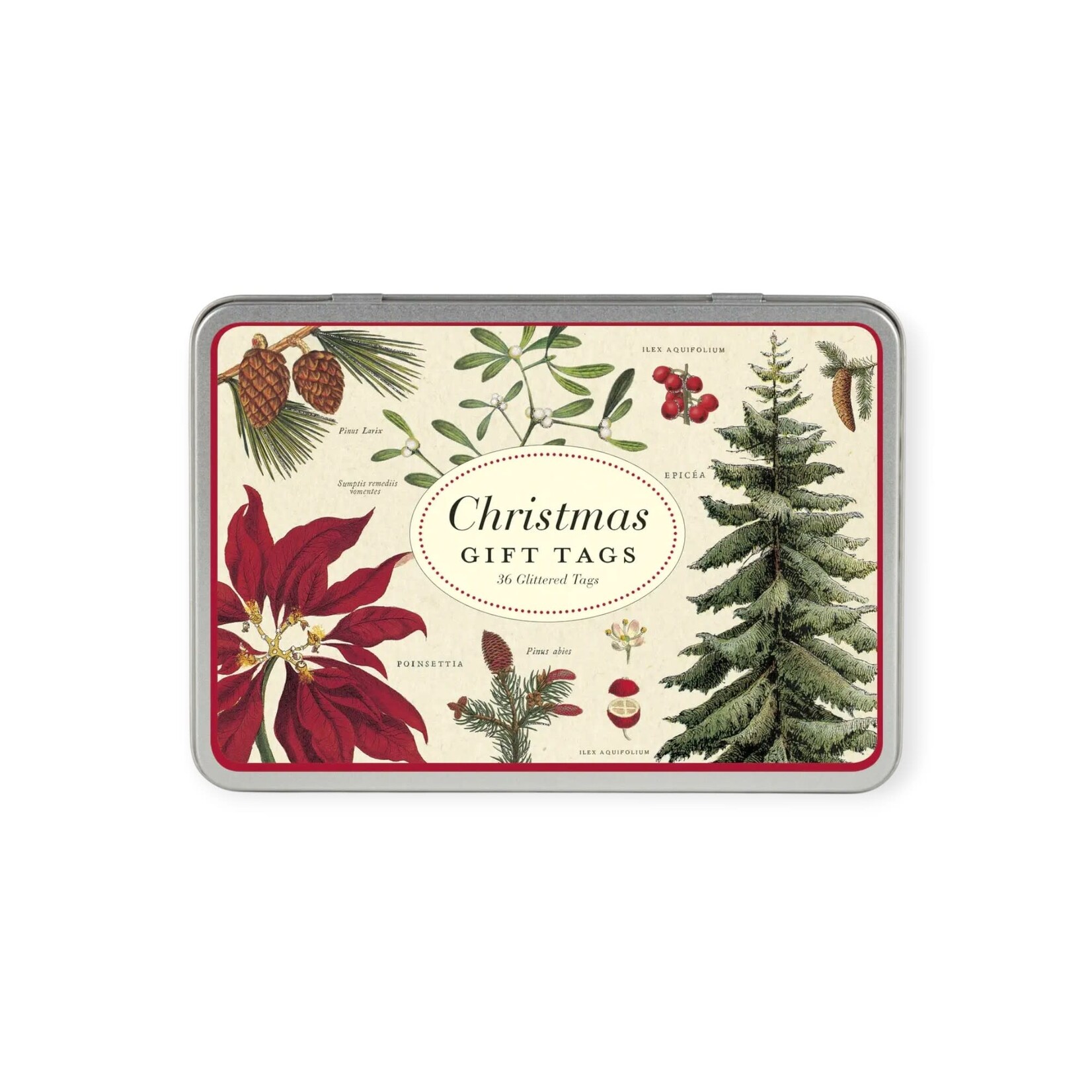 Cavallini Papers & Co. Inc Gift Tags Christmas Botanica