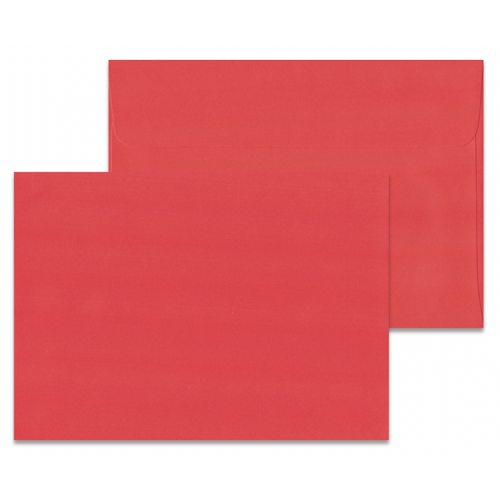 Artists To Watch Boxed Holiday Cards Alone in Forest